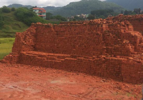 AAC blocks vs Red bricks- Composition, Application, Preparation